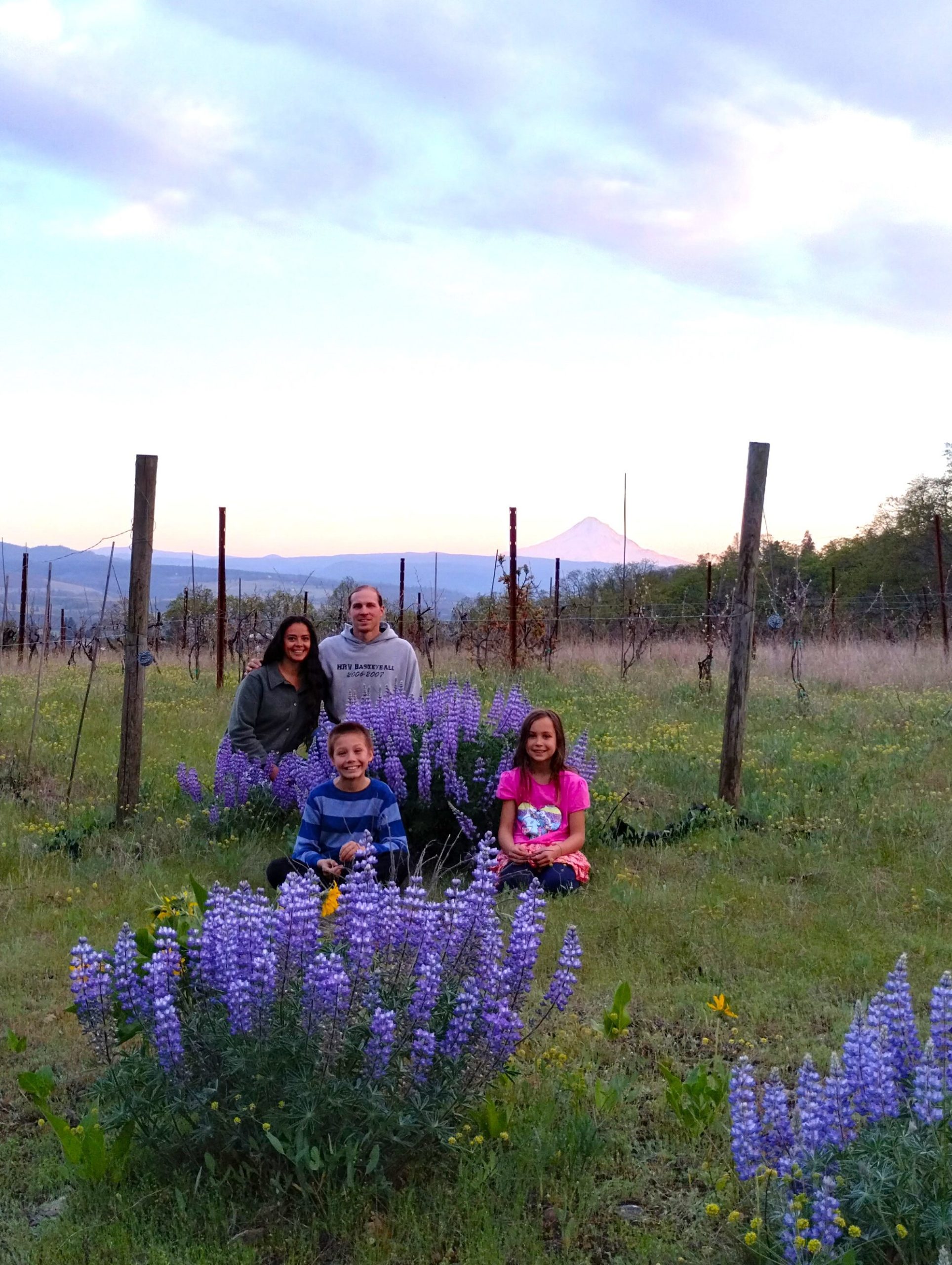 Family in Meadowlark Vineyard at sunset with lupine blooming